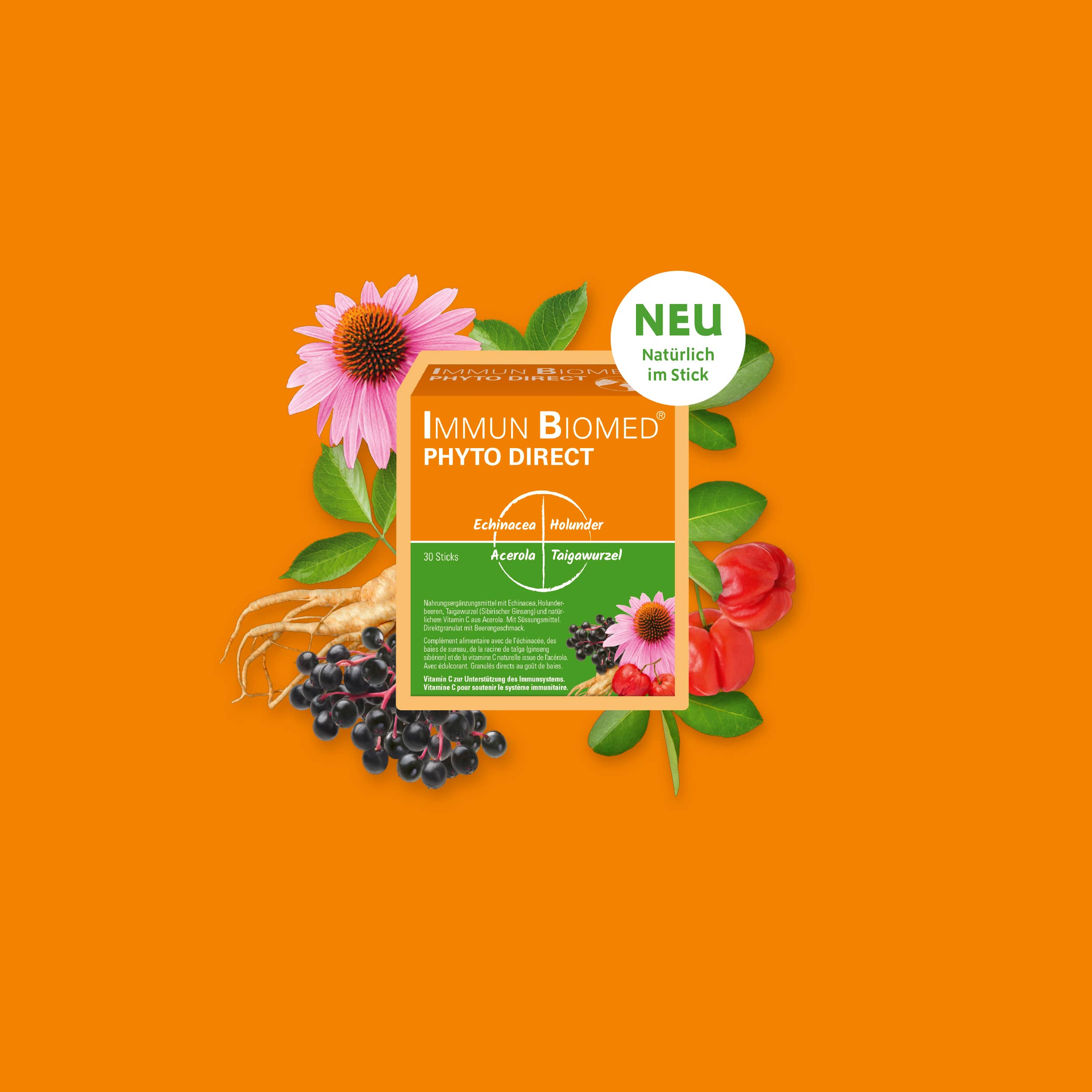Eine Packung Immun Biomed Phyto Direct steht vor einem orangen Hintergrund. Hinter der Packung sind die Inhaltsstoffe als Bilder zu sehen: Echinacea, Holunderbeeren, Taigawurzel und Acerola. Oben rechts ist ein Sticker mit der Aufschrift: Neu Natürlich im Stick.